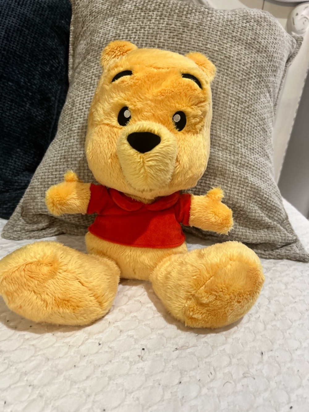 Disney Yellow Winnie the Pooh Plush with Red Shirt